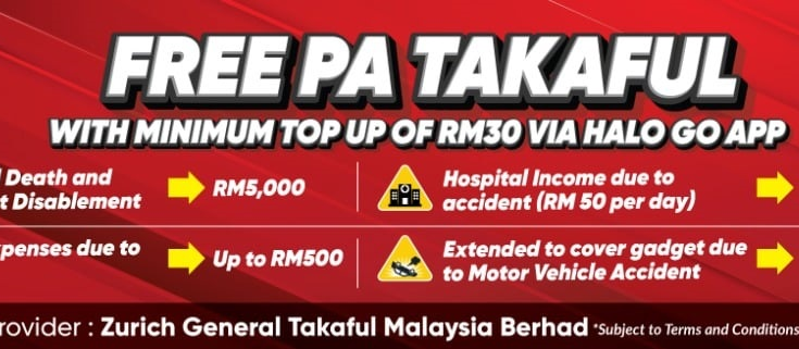 insuran halo telco
